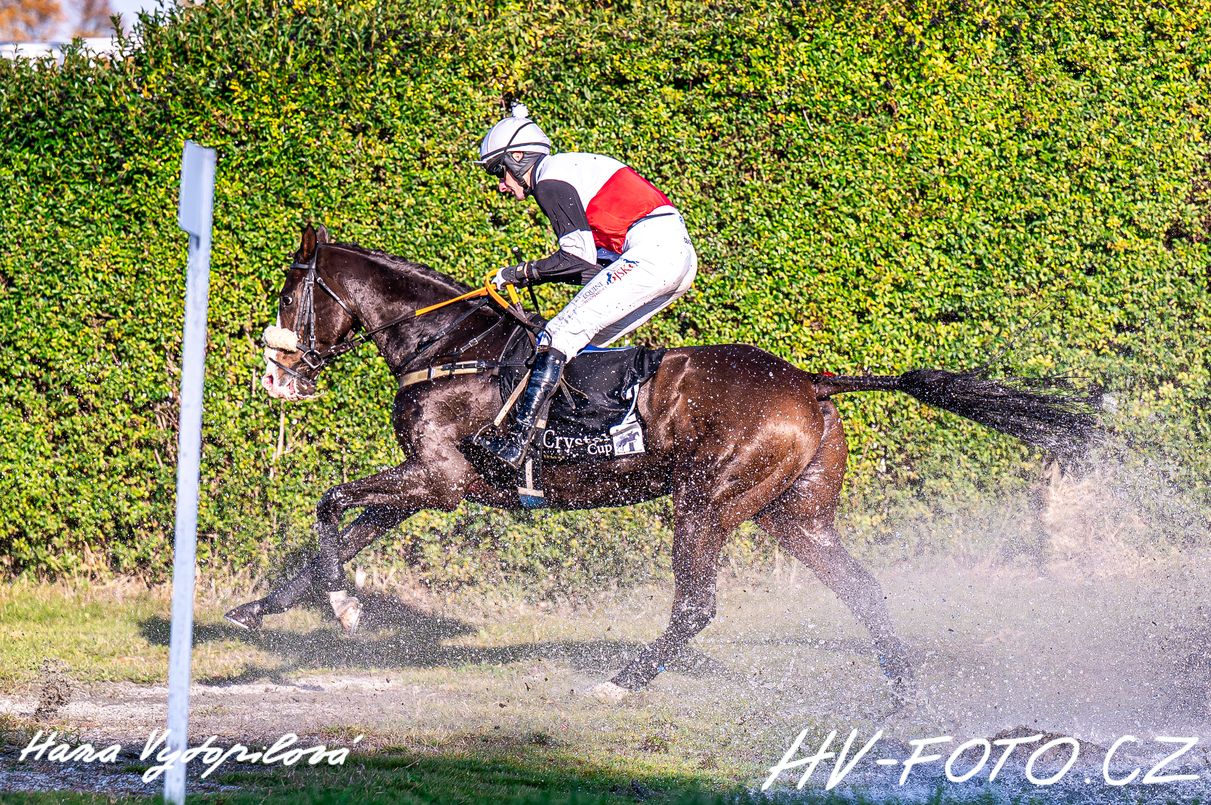DSC_2500 kopie.jpg